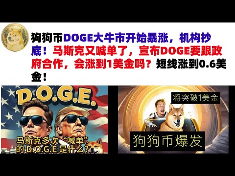 狗狗币DOGE大牛市开始暴涨，机构抄底！马斯克又喊单了，宣布DOGE要跟政府合作，会涨到1美金吗？短线涨到0.6美金#DOGE币#马斯克狗狗币#DOGE行情分析#