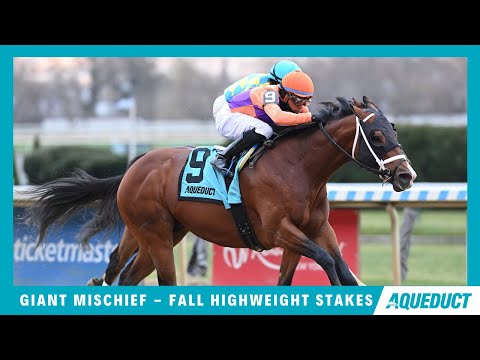 Giant Mischief - 2024 - Fall Highweight