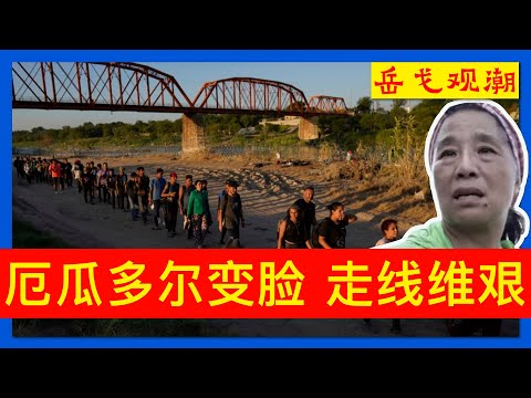 厄瓜多尔突变脸：走线美国更艰难，荷兰呢？跳机也有变数——还是那句老话，自由不是免费的