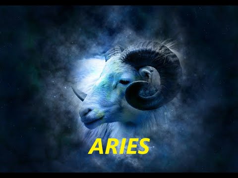 ARIES MONTHLY HOROSCOPE JANUARY 2025-CURIOUSITY DID NOT KILL THE CAT!BE CURIOUS!#fyp #aries #tarot