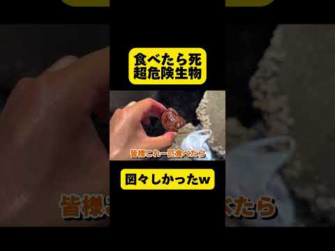 食べたら死ぬ危険生物が図々しかった