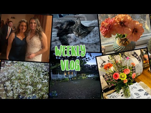 Weekly vlog, garden 🪴 cleanup, planting fall crops #gardeningvlog, #wedding, #fallcrops,