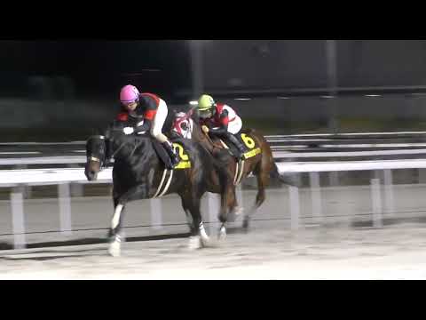 第23回名古屋グランプリ（Jpnll 2100m）は2013JBCレディスクラシック（金沢）優勝馬メーデイアの産駒、JRA⑫ディクテオン（セン5 父キングカメハメハ 岡部誠57）が差し切り重賞2連勝！