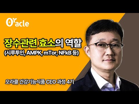 장수관련 효소의 역할(시루투인, AMPK, mTor, NFkB 등)