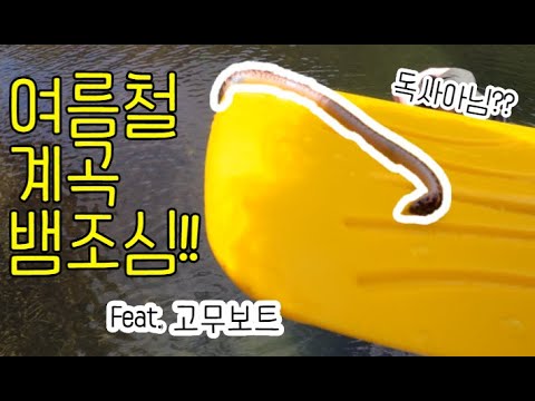 #45 [귀촌 브이로그] 물놀이 중 뱀이 나왔다!