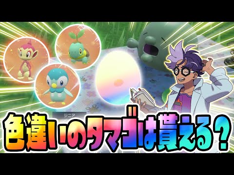 【検証】ジニア先生イベントで色違いのタマゴは貰えるのか？【ポケモンSVゼロの秘宝/碧の仮面/色違いシンオウ御三家】