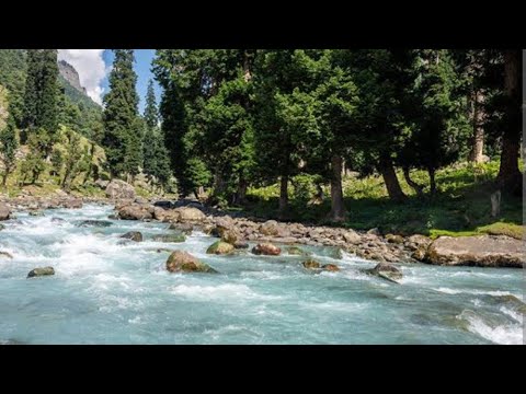 #kashmir #camping #adventuretravel #hiking #lidderwat #pahalgam #trekking @JKTourismOfficial