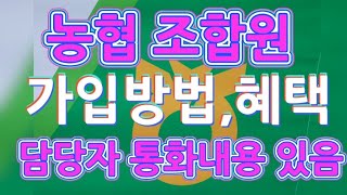 농협 조합원 가입방법, 혜택. 담당자와 통화내용있음.