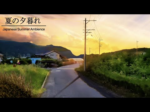 [ASMR/Ambience]Summer in Japan.Countryside at dusk./Insect, countryside ,summer sound /@Sound Forest