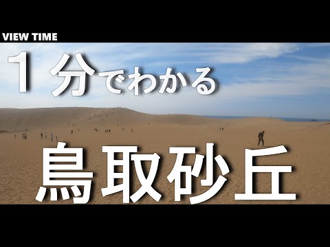 【１分で解説】鳥取砂丘　鳥取観光　砂熱すぎ注意🔥(ラクダ・パラグライダーできるよ)