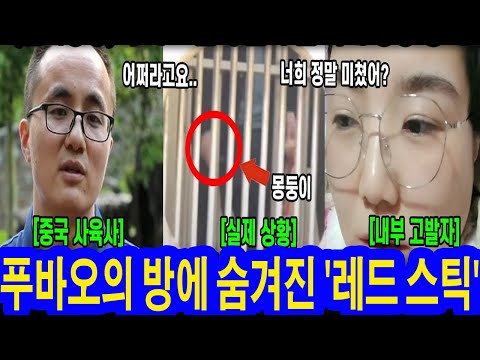 푸바오 내실에 숨겨진 ‘빨간 막대기’ 결국 밝혀진 학대 영상들과 발작 이유! 실제영상포함