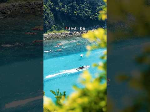 天国みたいな高知の端っこ、エメラルドグリーンの海に囲まれた絶景島