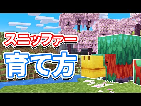 【マイクラ1.20】スニッファー(Sniffer)の育て方・卵の探し方・仕様など詳しく解説!!【マインクラフト1.20】(旅路と物語アップデート)