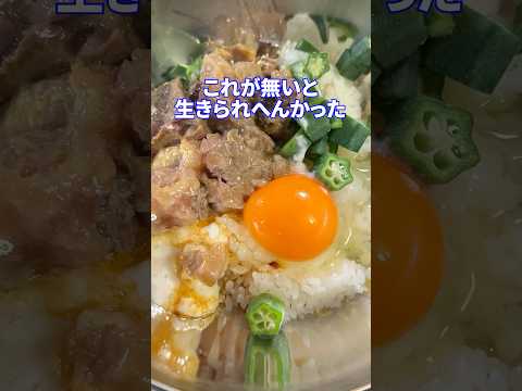 必死に行きた結果feat.牛すじ卵かけご飯V #shorts #料理