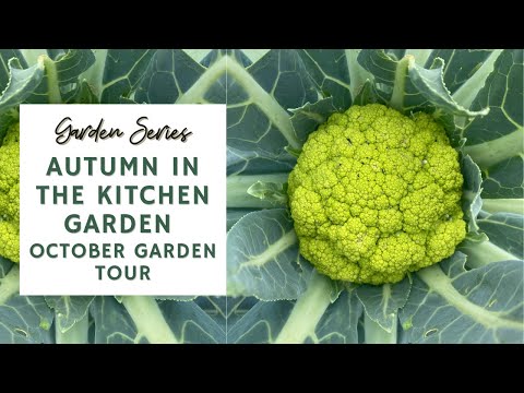 Autumn in the Kitchen Garden: October Garden Tour 🎃🍂 | GARDEN SERIES