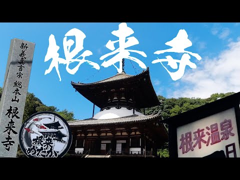 【根来寺】ねごろのルーツを探しに行った