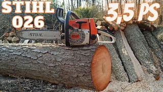 Stihl 026 im Wald !Vollmeißelkette und 3,5 PS!