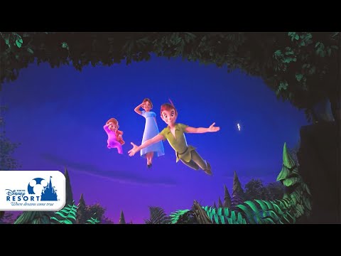 【公式】ピーターパンのネバーランドアドベンチャー / Peter Pan's Never Land Adventure | 東京ディズニーシー/Tokyo DisneySea