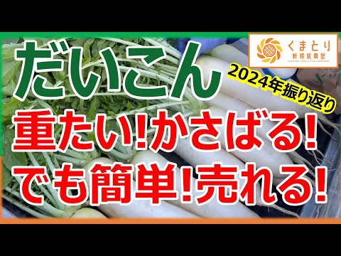 【だいこん栽培】2024年振り返り 葉付き大根マルシェでは大人気！