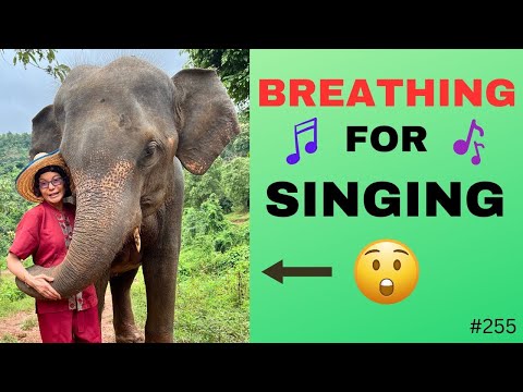 HOW MUCH AIR Do You Really Need to Sing?