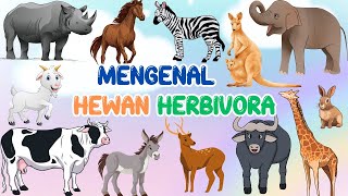 Belajar Mengenal Nama Hewan Herbivora | Mengenal Hewan Pemakan Tumbuhan