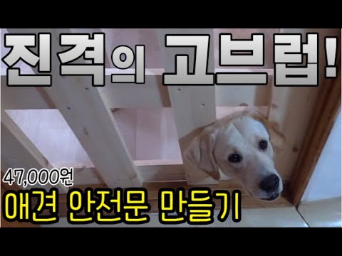 #48 [귀촌 브이로그] 대형견도 막는 안전문 만들기