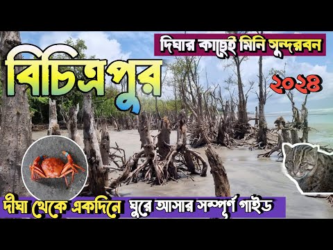 Bichitrapur Mangrove | Bichitrapur | বিচিত্রপুর ভ্রমণ গাইড 2024 | Digha Tour