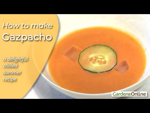 Gazpacho (delicious) Recipe