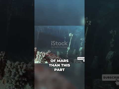 Mysteries of the Mariana Trench Secrets #shorts