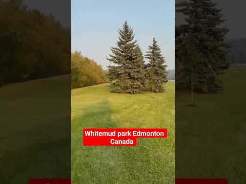 beauty  of nature in Canada white mud park #edmonton #canada