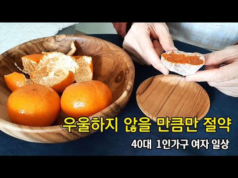 혼자사는 40대 1인가구 일상 브이로그 vlog 우울하지 않을 만큼만 겨울 절약 모드