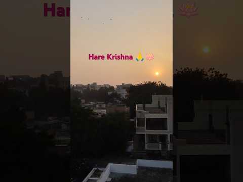 Rise above dis-beliefs and say Hare Krishna 🪷😊.#jaishreekrishna #radheradhe #youtubeshorts #trending