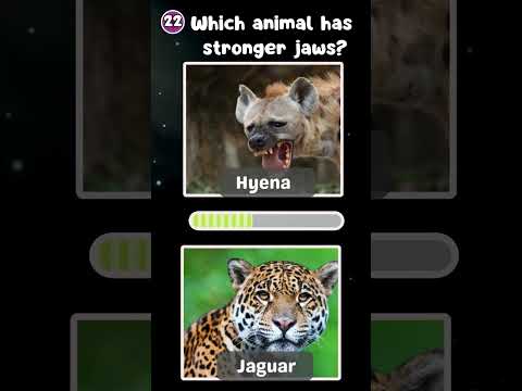 "How Good Is Your Knowledge of Animals? 🐾 Test Yourself Now!"|The Quiz Show