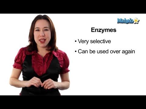 Learn Biology: Cells—Enzymes