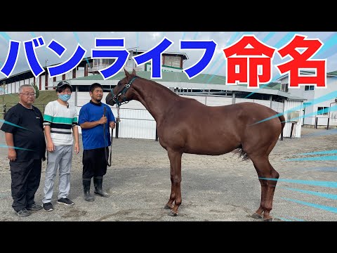 「バンライフ」馬名になる。競走馬を命名させていただくことに！