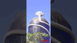 Shiv Mandir Berla Bemetara #chhatisgarh #cg #bemetara #shiv #shankar #mahadev #youtubeshorts