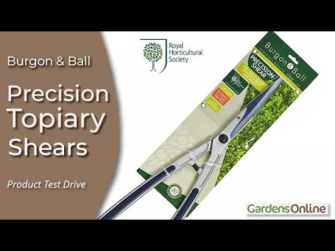 Topiary Hedge Shears by Burgon & Ball - Product Review