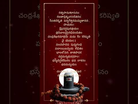 చంద్రశేఖరాష్టకo -1 #lordshiva #telugudevotionalsongs #@villagethings650