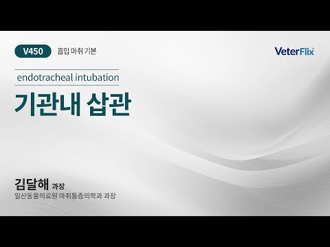 [베터플릭스][흡입 마취 기본] 기관내 삽관(endotracheal intubation)