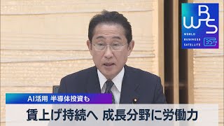 賃上げ持続へ 成長分野に労働力 ＡＩ活用 半導体投資も【WBS】（2023年6月6日）