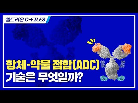 [셀트리온 C-FILES] 항체-약물 접합(ADC) 기술이란 무엇일까?