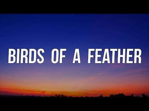 Billie Eilish - BIRDS OF A FEATHER (Lyrics)