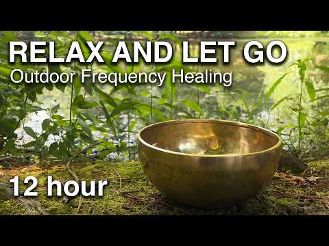 Perfect Outdoor Healing Frequencies To Leave On In The Background While You Work Or Sleep