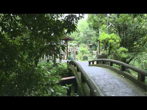 Kyoto Japan 4K - 京都御苑  Kyoto Gyoen   KYOTO IMPERIAL PALACE