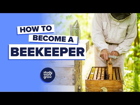 How to become a Beekeeper