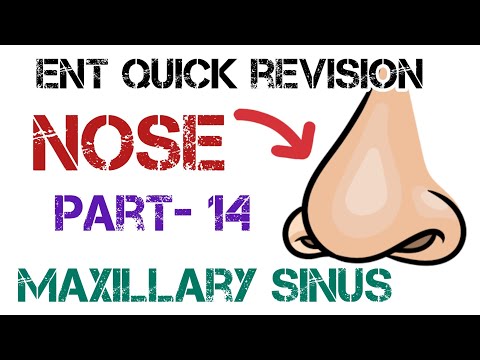 Maxillary Sinusitis: Causes, Treatments, and Insights | Dr. Deen Lectures