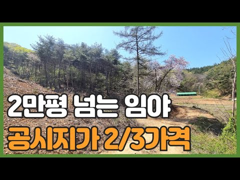 매물번호 726 【임야 매매】 농림.보전관리(일부) 면적 71.643㎡(약 21.672py)  서산시 지곡면 연화리 면적 넓은 임야 매매가 2억2천만원