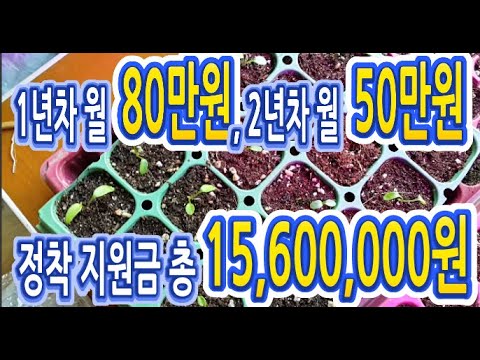 1년차 월 80만원, 2년차 월 50만원 누구나 받을 수 있는 귀농 정착 지원금 총 15,600,000원의 혜택을 누리세요