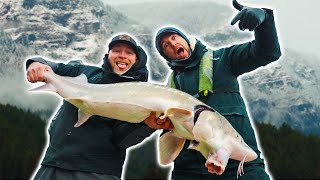 CRAZY Upper Columbia River STURGEON FISHING Opener