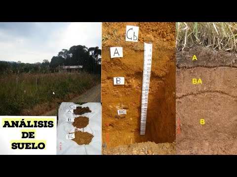 Soil analysis and calculation of manure or fertilization in tropical crops.